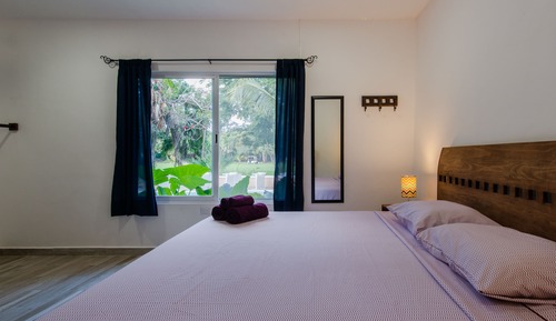 Estudio estándar, 1 cama de matrimonio grande, cocina, vistas a la piscina