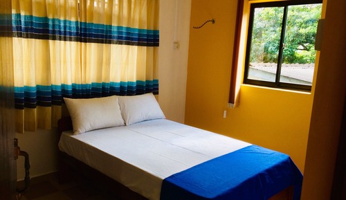 Habitación básica doble, 1 cama de matrimonio grande, no fumadores
