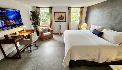 Habitación Deluxe doble, vistas al jardín