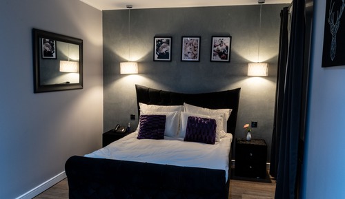 Habitación ejecutiva, 1 cama de matrimonio grande