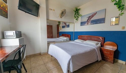 Habitación estándar doble