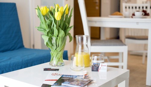 Apartamento Confort (4)