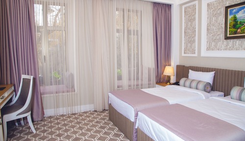 Habitación Deluxe con 2 camas individuales