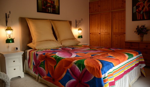 Habitación Deluxe doble, 1 cama de matrimonio, vistas al jardín