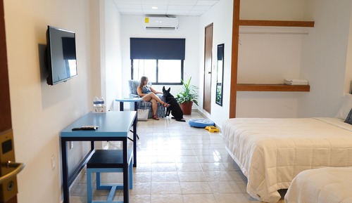 Standard Room, 2 Queen Beds