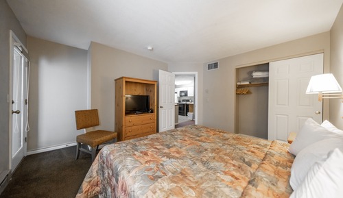 Suite, 1 cama de matrimonio grande con sofá cama, cocina