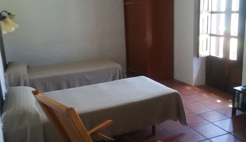 Apartamento, 1 habitación (La uva)