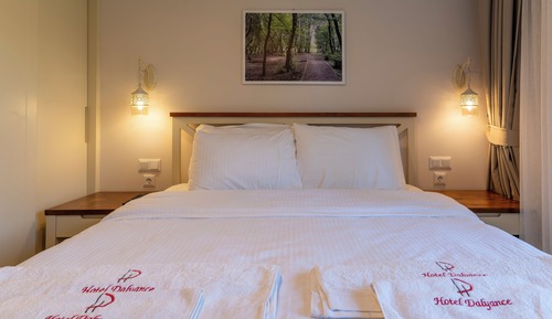 Habitación estándar doble, 1 cama doble