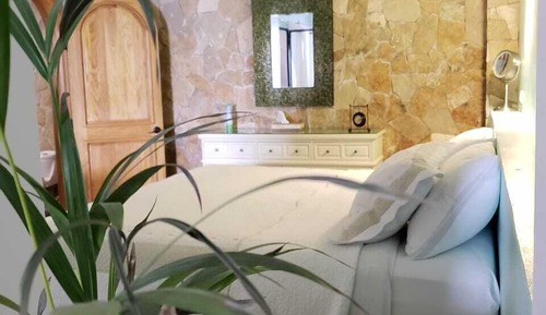 Habitación Business, 1 cama de matrimonio grande, no fumadores, vistas al patio