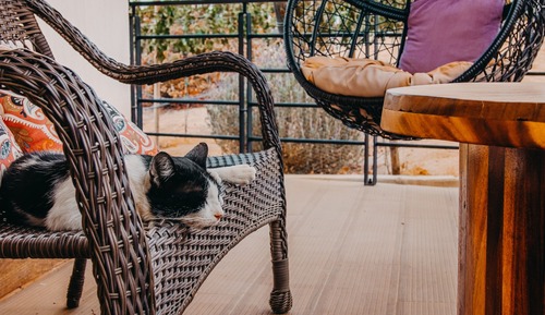 Loft Deluxe, terraza, vistas al viñedo