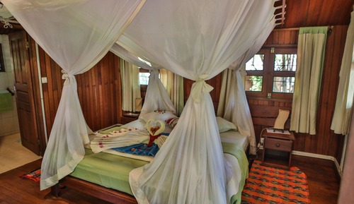 Bungalow Confort, no fumadores, vistas al jardín