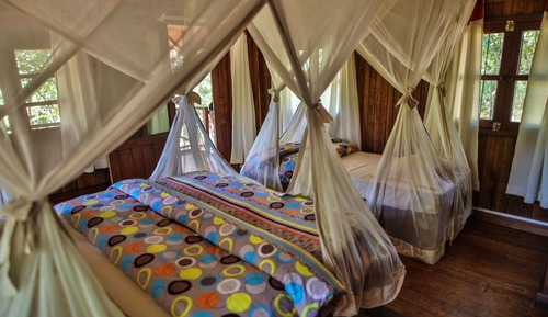 Bungalow Confort, 2 camas individuales, no fumadores, vistas al jardín