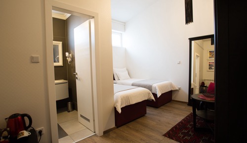 Habitación clásica con 2 camas individuales, vistas al parque