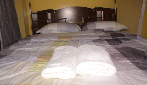 Suite Deluxe