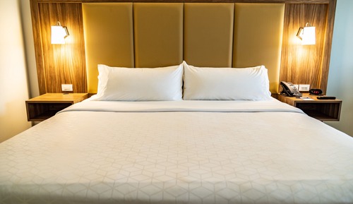 Habitación estándar, 1 cama de matrimonio grande (Walk-In Shower)