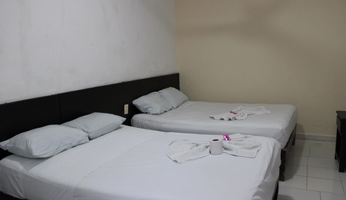 Habitación estándar, 2 camas dobles