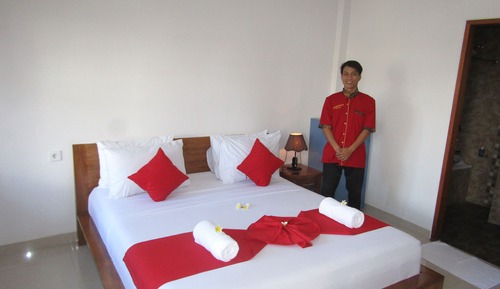 Habitación doble superior, 1 cama doble