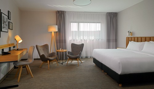 Habitación ejecutiva, 1 cama de matrimonio grande