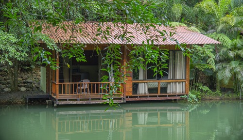 Bungalow superior, varias camas, no fumadores, vistas al lago