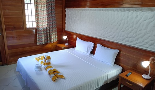 Habitación con 1 cama doble o 2 individuales (Pool King)