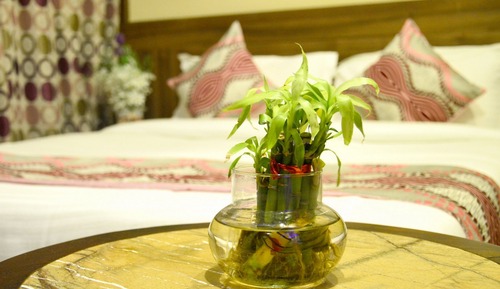 Habitación Deluxe