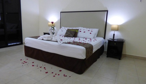 Habitación junior, 1 cama de matrimonio grande, no fumadores, vistas al jardín