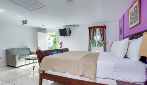 Habitación estándar, 1 cama de matrimonio grande, no fumadores