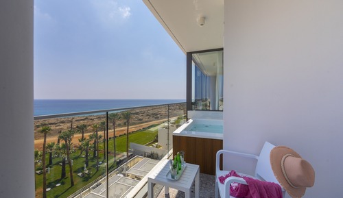 Suite ejecutiva (Outdoor Jetted Tub)