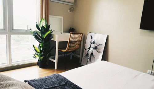 Suite estudio