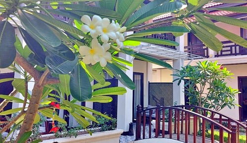 Habitación de lujo doble, 1 cama de matrimonio grande, vistas a la piscina