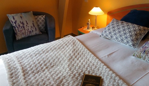 Habitación con 1 cama doble o 2 individuales, baño privado, vistas al jardín (Chambre " Rétro ")