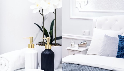 Suite estudio Royal