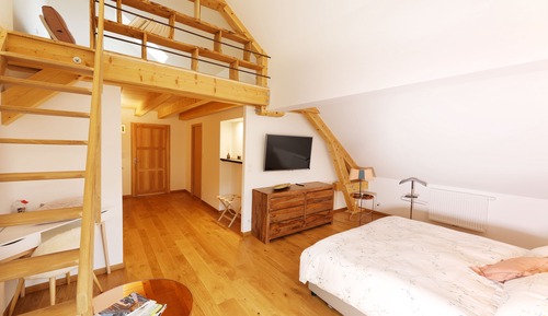 Habitación, accesible para personas con discapacidad (Blegny)