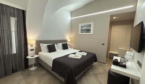 Habitación estándar con 1 cama doble o 2 individuales