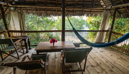 Casa Deluxe en un árbol