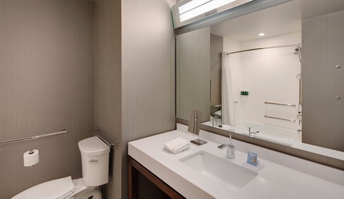 Habitación, 1 cama de matrimonio grande, vistas a la ciudad (Hearing Accessible)