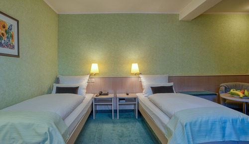 Habitación con 1 cama doble o 2 individuales, vistas al jardín