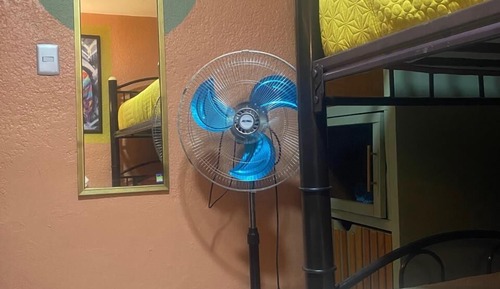 Habitación cuádruple básica