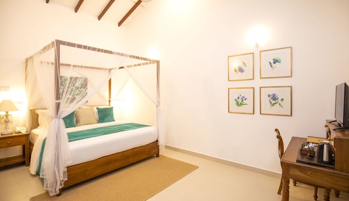 Habitación estándar doble, 1 cama de matrimonio grande, terraza, vistas al jardín