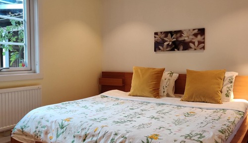 Habitación estándar doble, 1 cama de matrimonio, en la zona del jardín