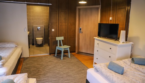 Habitación familiar, baño privado