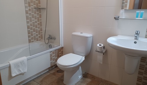 Habitación con 1 cama doble o 2 individuales, accesible para personas con discapacidad, baño privado