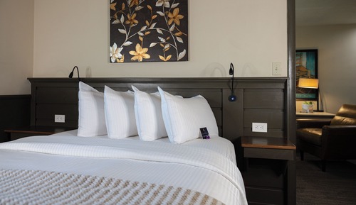 Suite, baño privado (Suite 8)