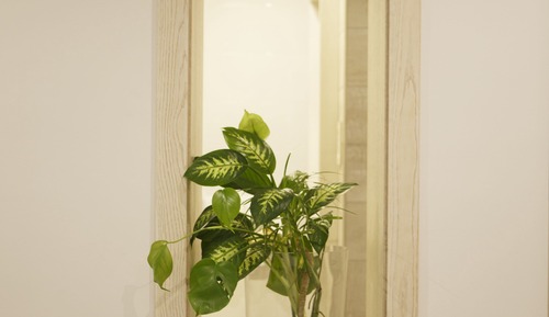Habitación doble de uso individual