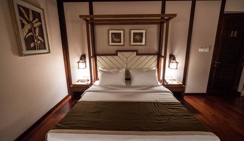 Habitación Premium, no fumadores