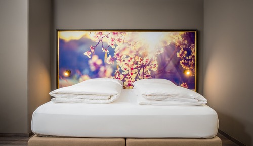 Suite junior, 1 cama de matrimonio grande con sofá cama, vistas al patio