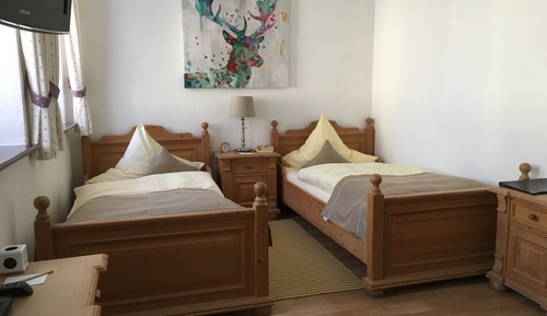 Habitación con 2 camas individuales
