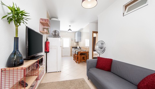 Basic Apartment