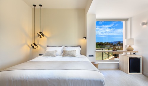 Suite estudio Deluxe, vistas al jardín