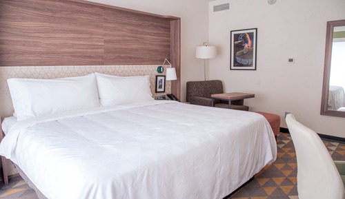 Habitación estándar, 1 cama de matrimonio grande